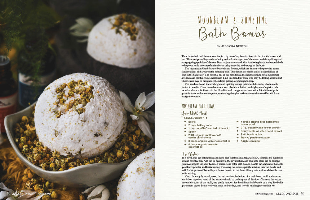 Willow and Sage Autumn 2025 Instant Download