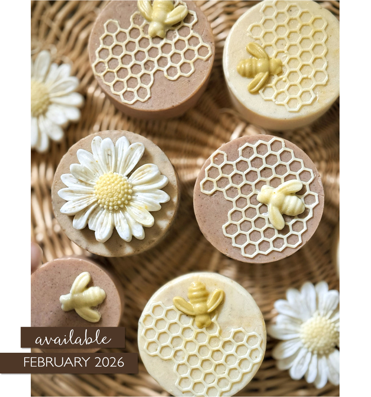 Willow and Sage Spring 2026 Pre-Order