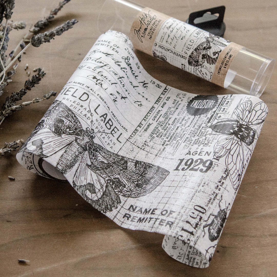 Tim Holtz Idea-ology Collage Paper Entomology