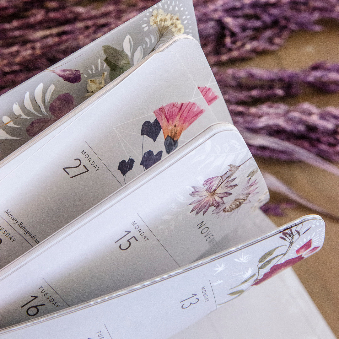 One Day at a Time Bella Grace Bundle