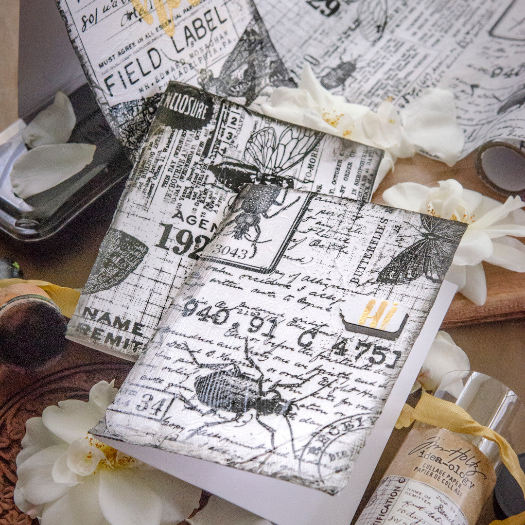 A Black-and-White Card Bundle