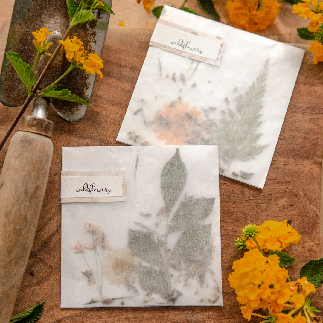The Gift of a Green Thumb: Wildflower Seed Packets