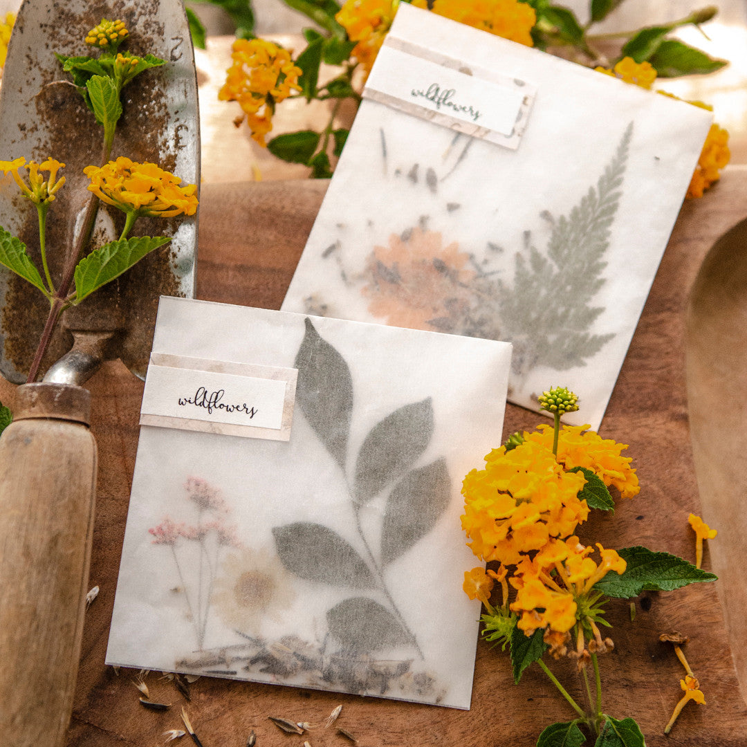 The Gift of a Green Thumb: Wildflower Seed Packets