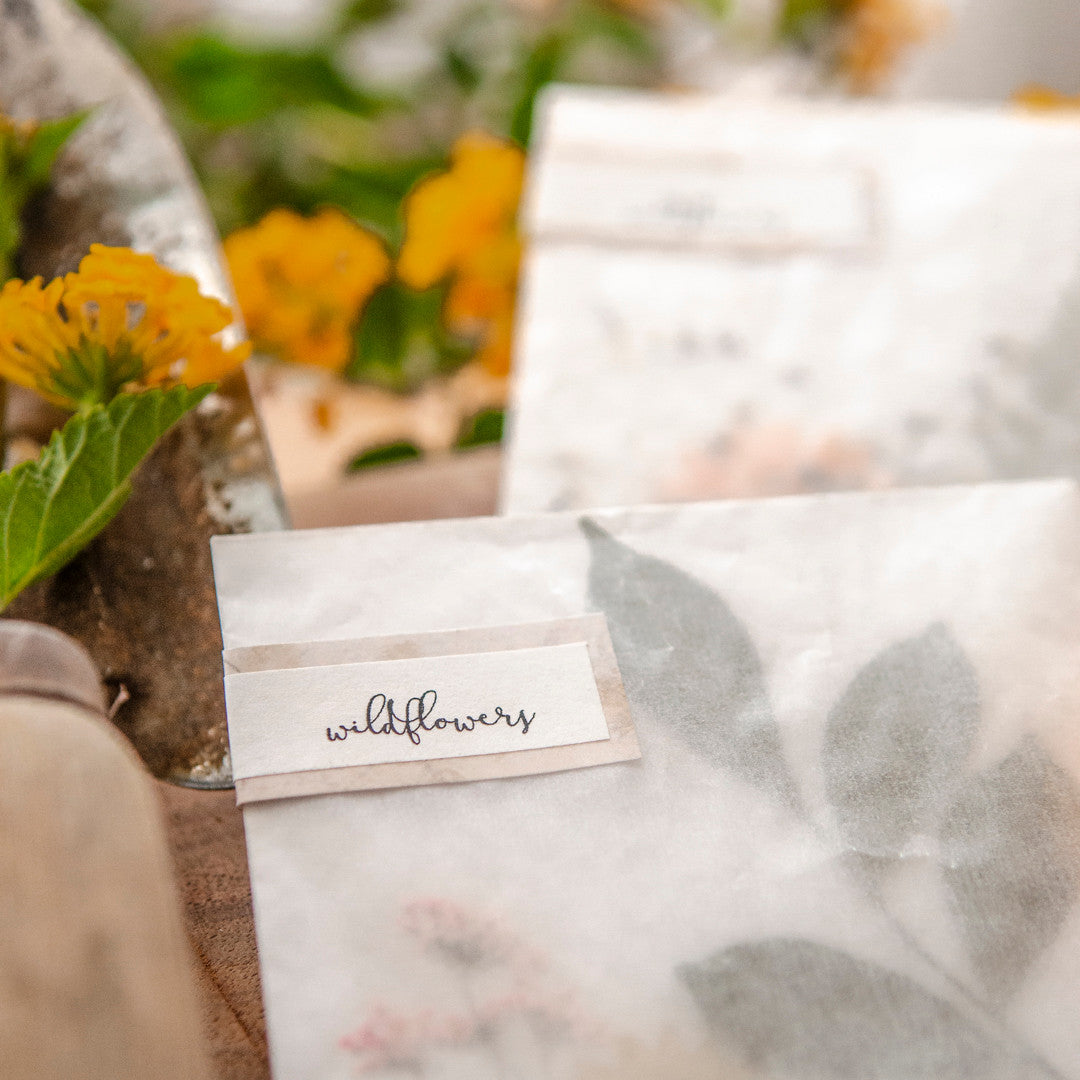 The Gift of a Green Thumb: Wildflower Seed Packets