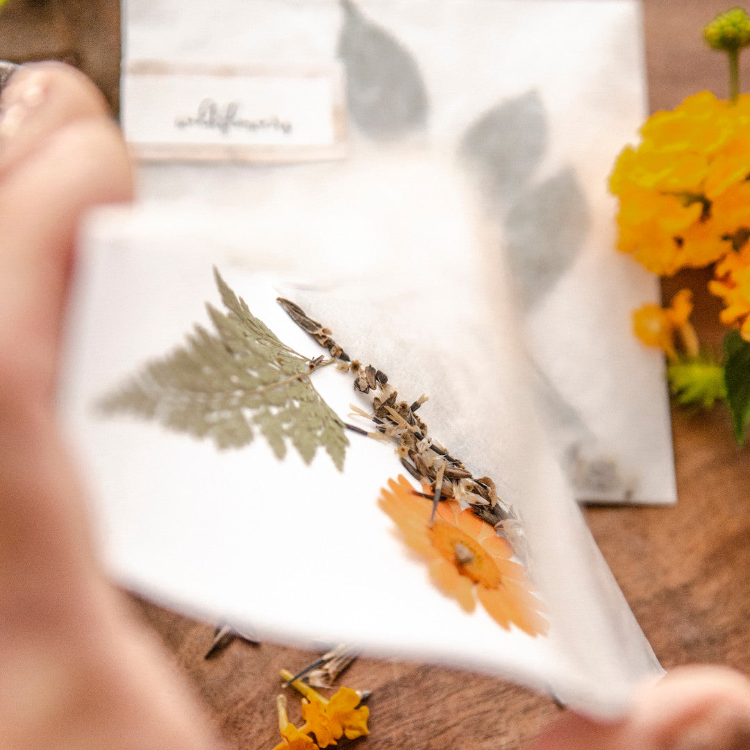 The Gift of a Green Thumb: Wildflower Seed Packets