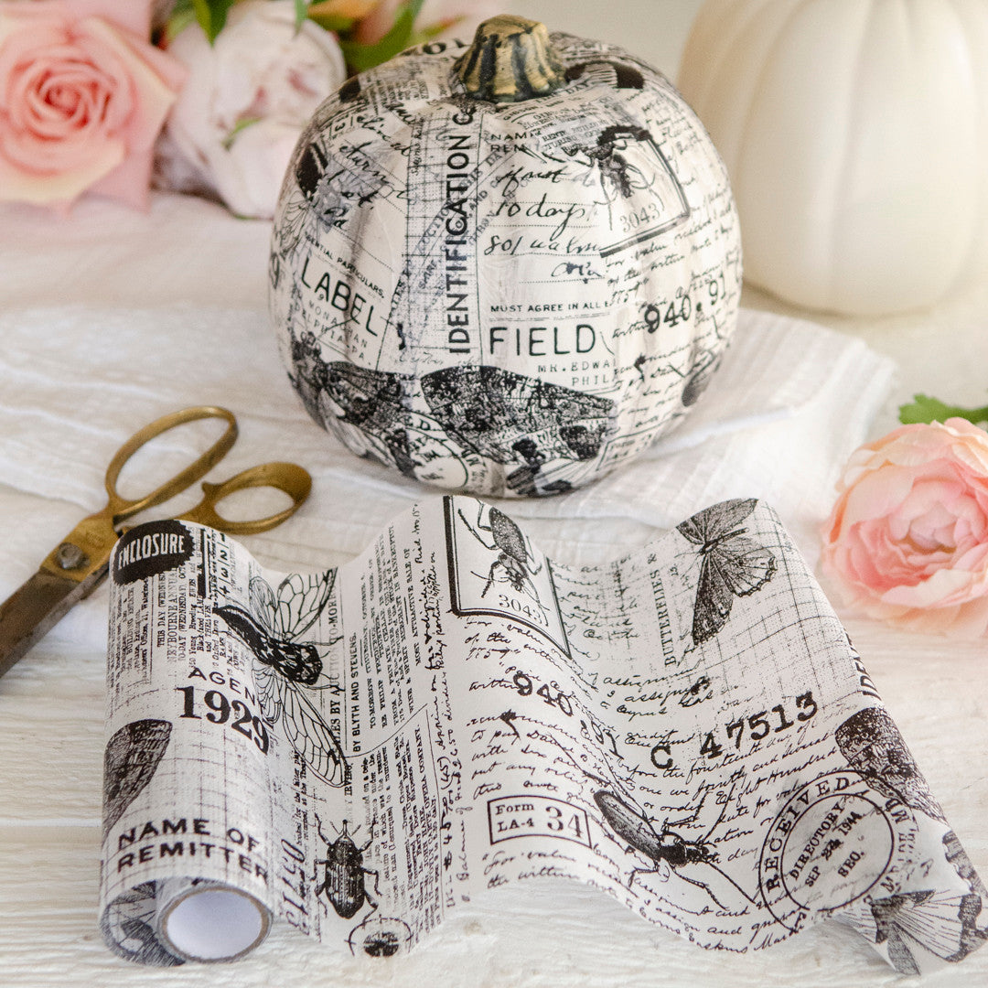 No-Carve Pumpkin Decorating Project