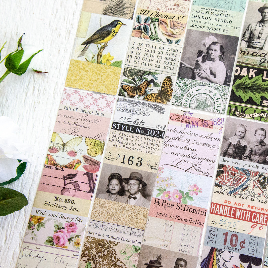 Tim Holtz Idea-ology Collage Strips Large