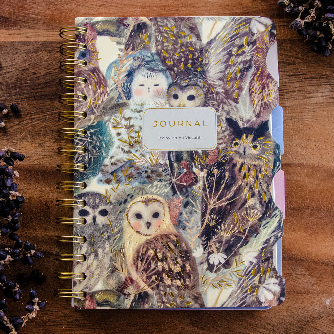Bruno Visconti Owls Art Journal