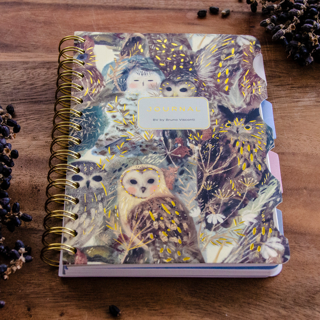 Bruno Visconti Owls Art Journal