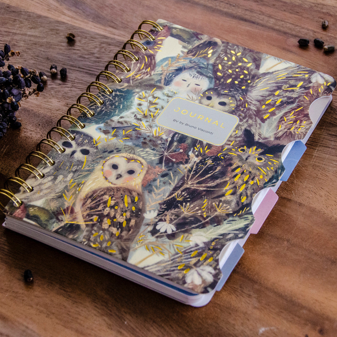 Bruno Visconti Owls Art Journal