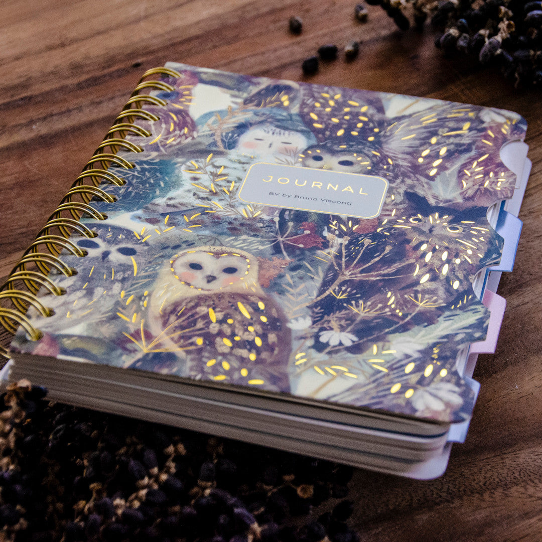Bruno Visconti Owls Art Journal