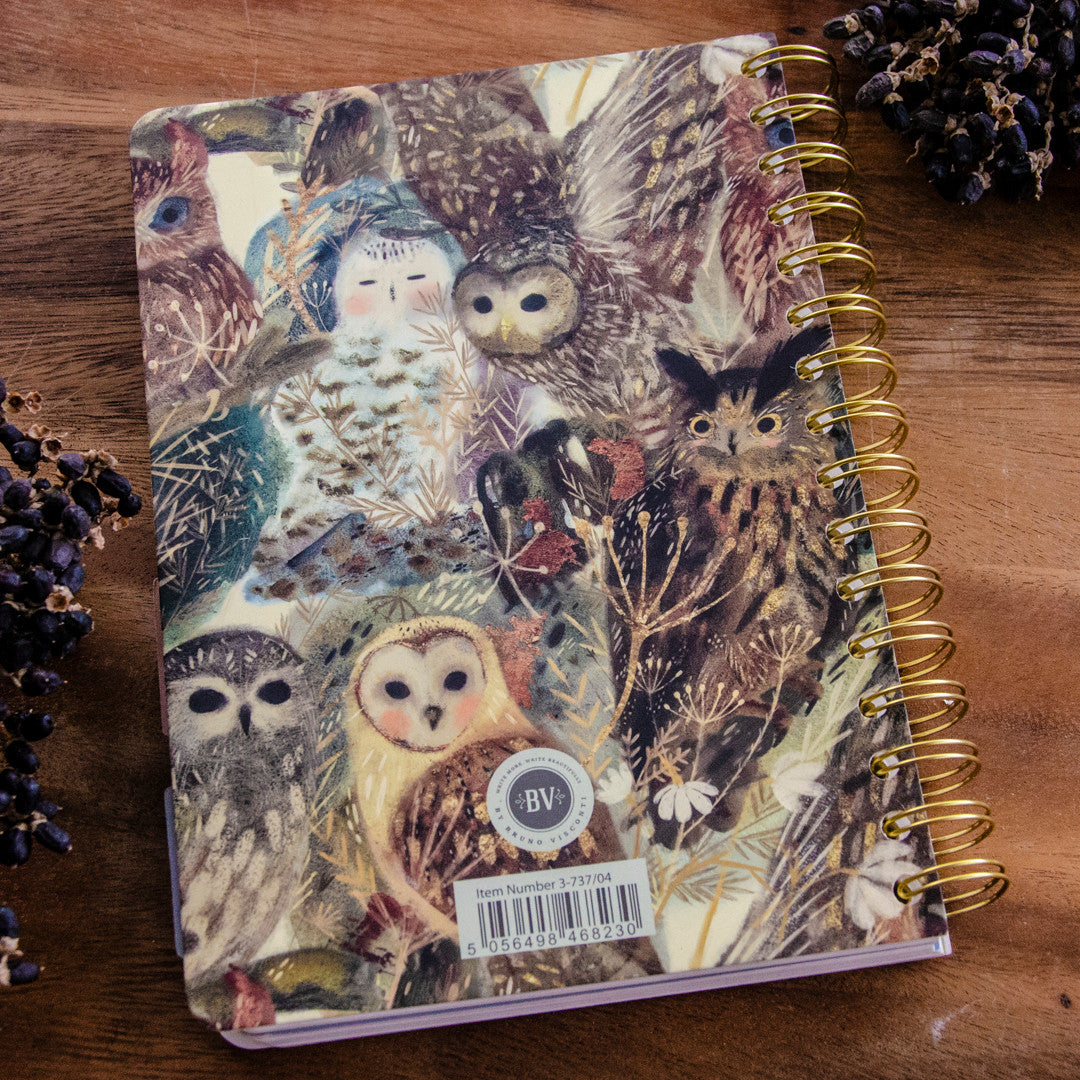 Bruno Visconti Owls Art Journal