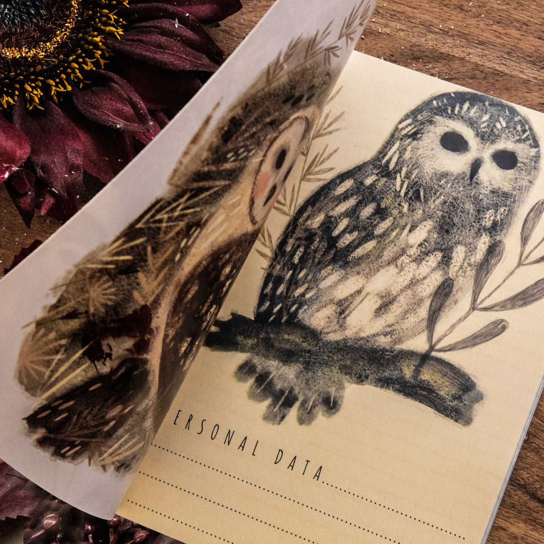 Bruno Visconti Owls Notebook