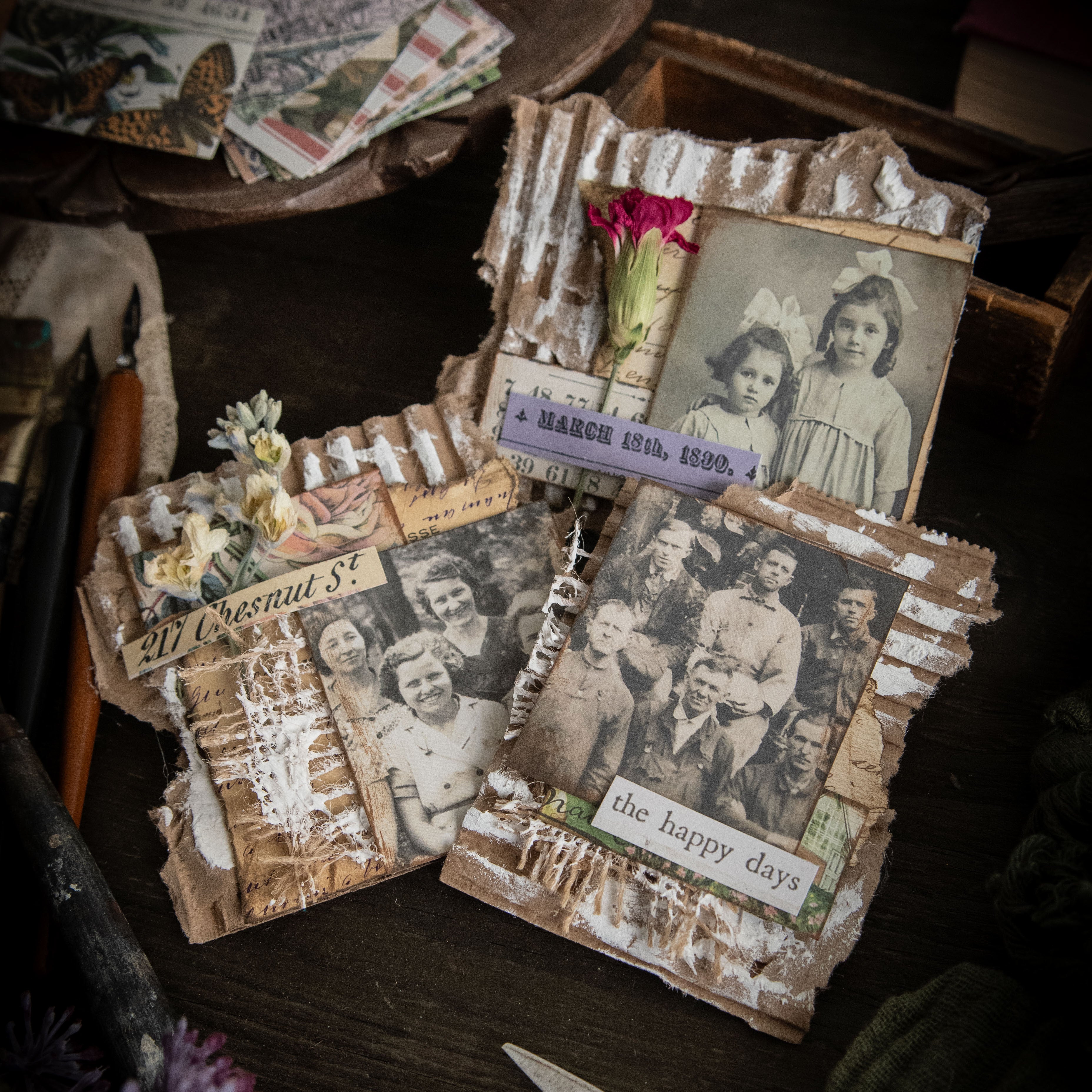 Cardboard, Reimagined