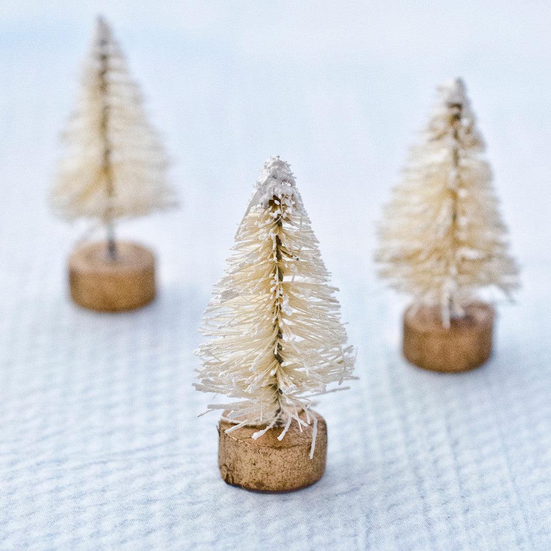 Miniature Frosted Cream Bottle Brush Trees