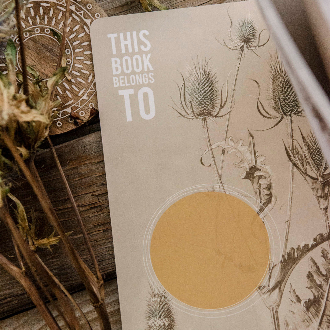 You Always Catch the Light Spiral Notebook by Papaya Art