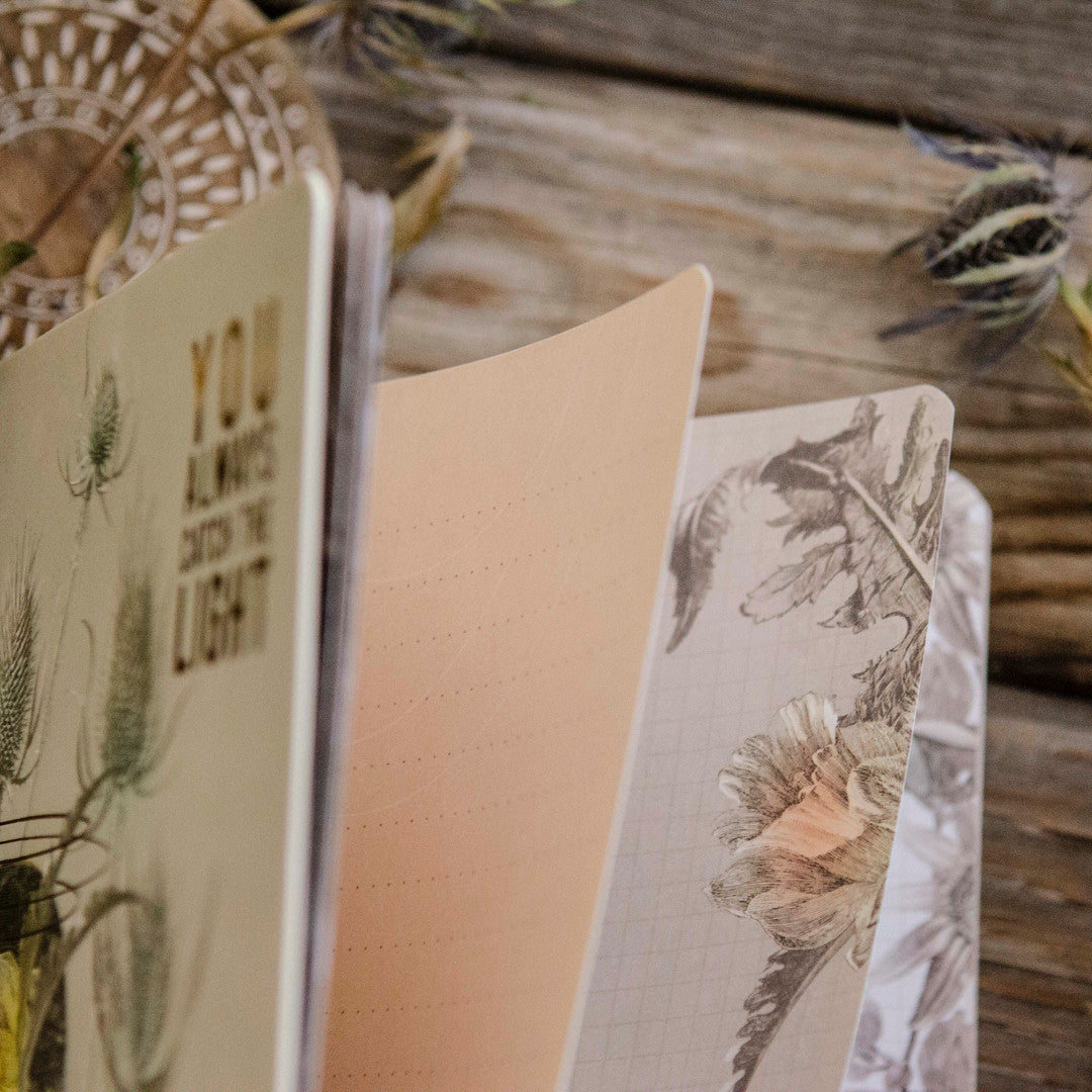 You Always Catch the Light Spiral Notebook by Papaya Art