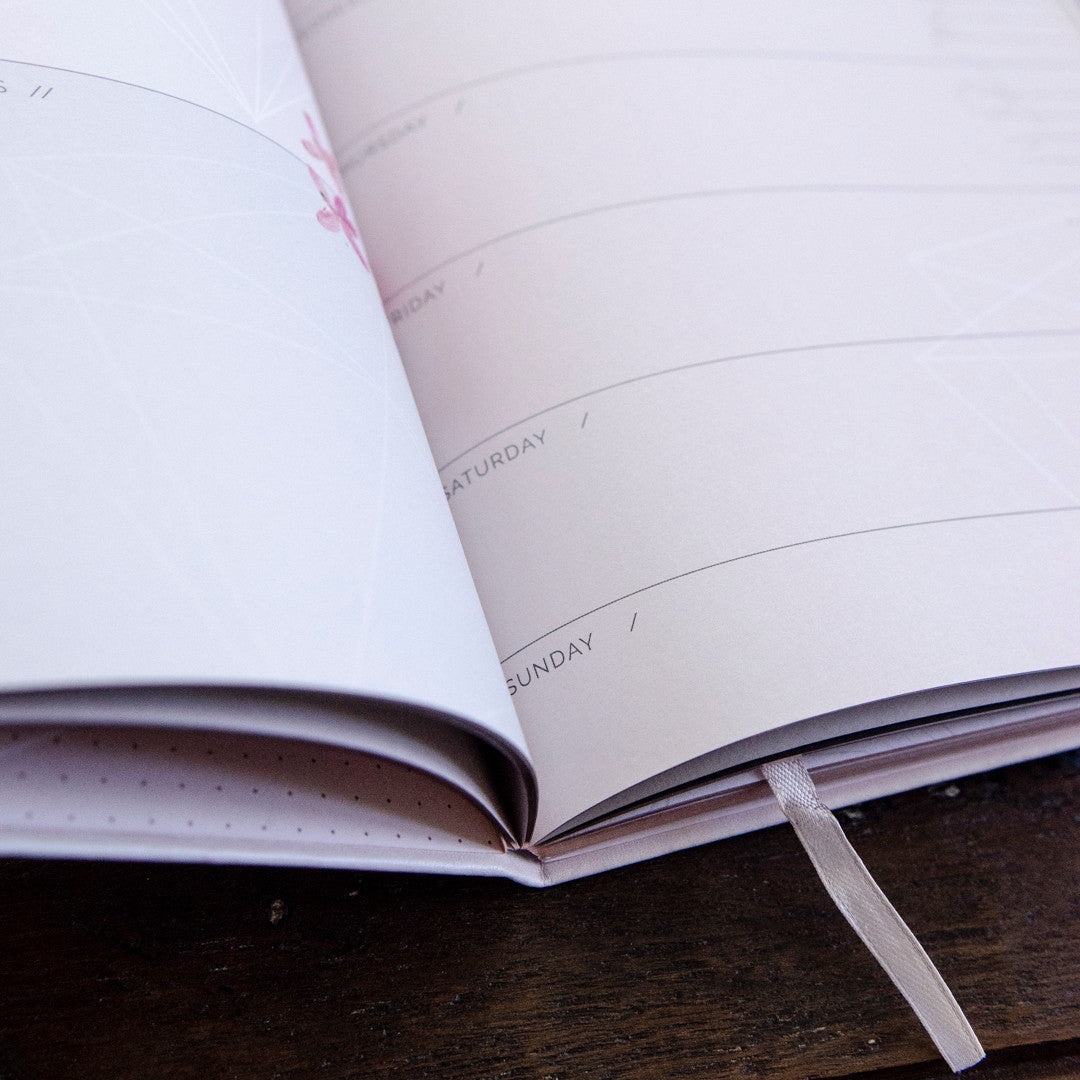 Gratitude Dateless Planner by Papaya Art