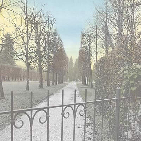 Cottage Garden Somerset Artist Papers by Angela Cartwright
