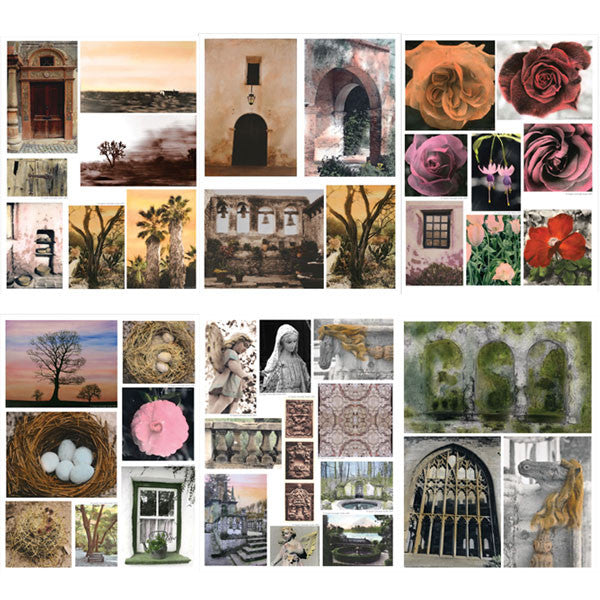 Transparencies by Angela Cartwright Pack of 6