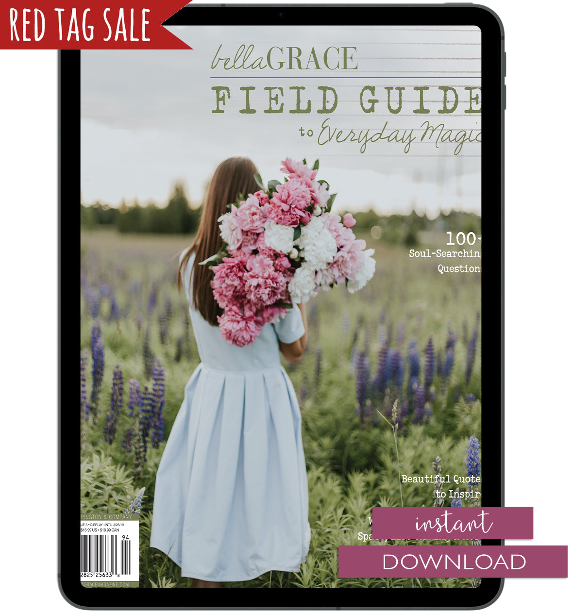 Field Guide to Everyday Magic Issue 3 Instant Download