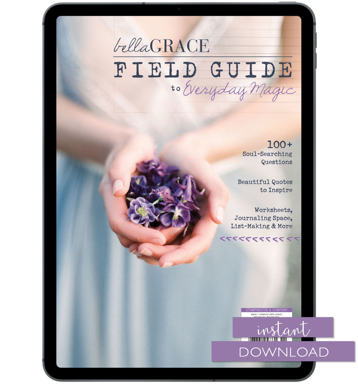Field Guide to Everyday Magic Issue 7 Instant Download