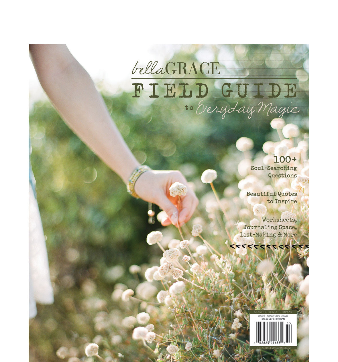 Field Guide to Everyday Magic Issue 6 — Digital Only