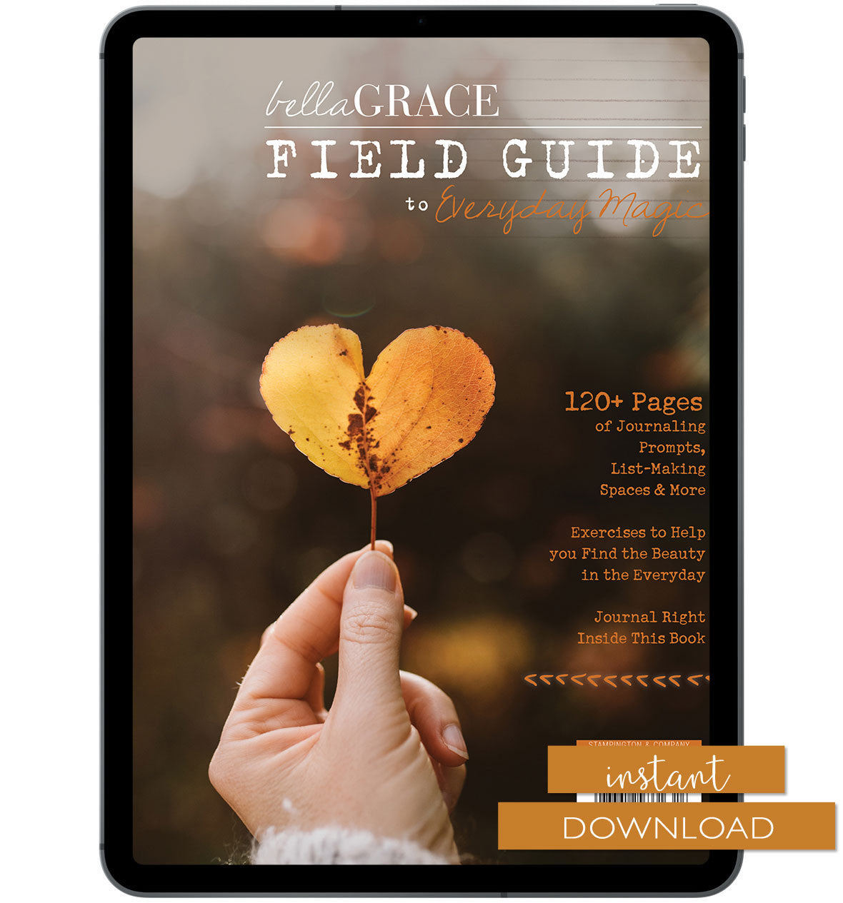 Field Guide to Everyday Magic Issue 8 Instant Download