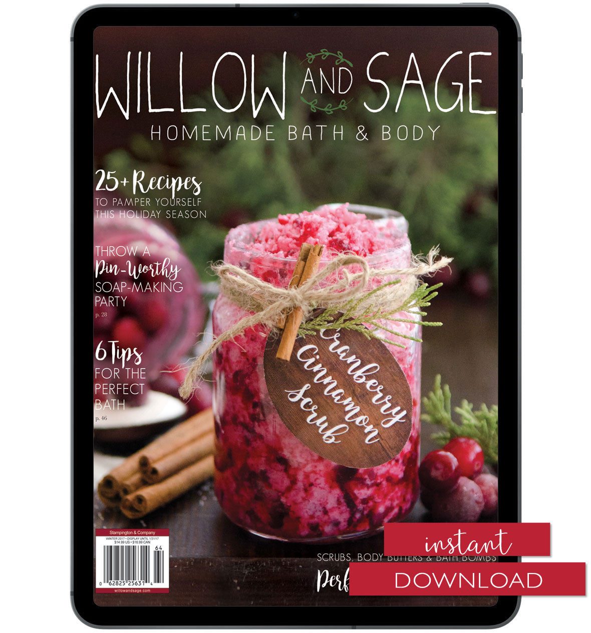 Willow and Sage Winter 2017 Instant Download