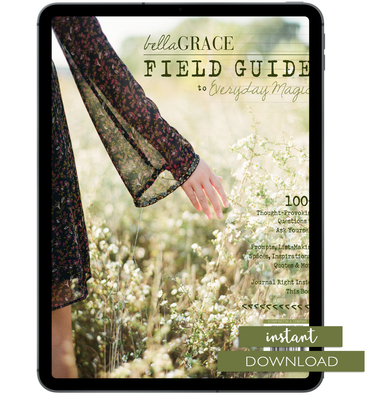 Field Guide to Everyday Magic Issue 12 Instant Download