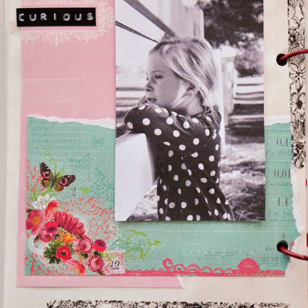Baggy Book Project