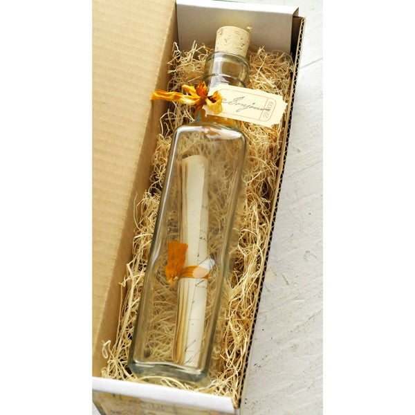 Bonjour! Message In A Bottle Project