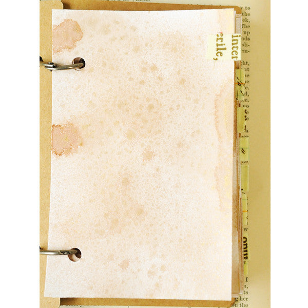 Parisian Notebooks Project