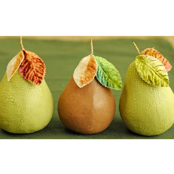 Autumn Pears Project