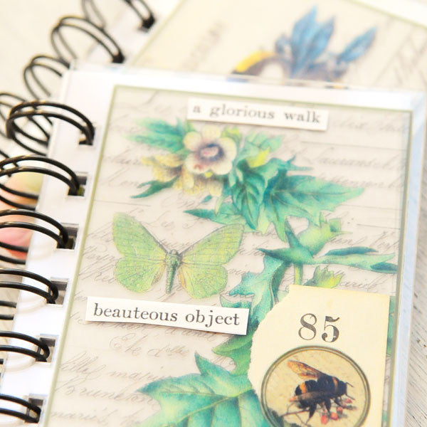 Nature Mini Books  Project by Audrey Hernandez