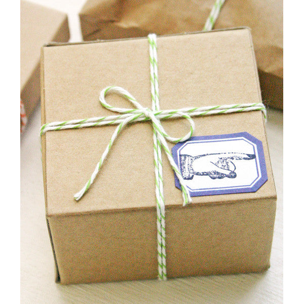 Brown Paper Packages Tied Up With String Project
