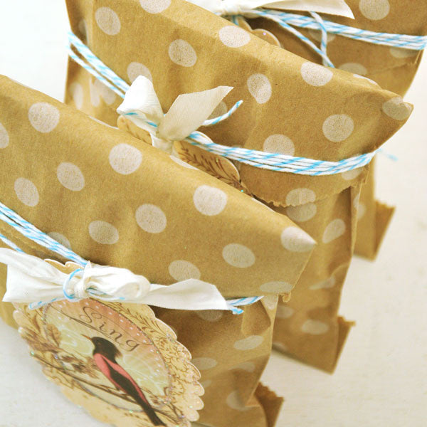 Birds and Blooms Kraft Bags Project