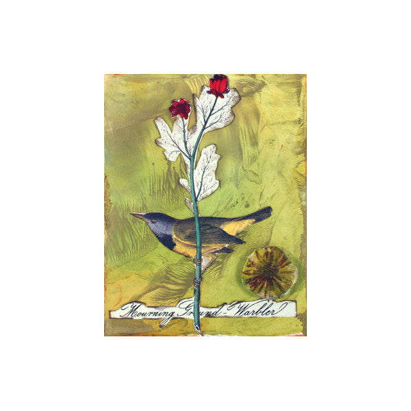 The Warbler Project by Diane Michioka
