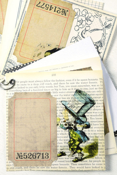 Alice in Wonderland Mini-Journal Project by Sarah Meehan