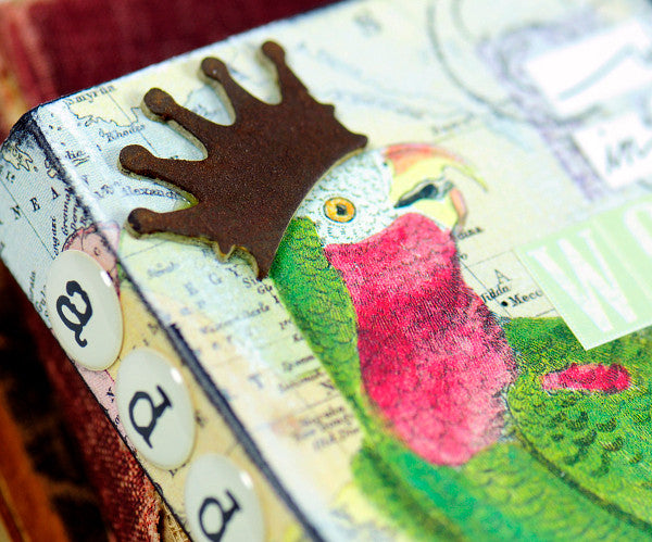 Bird Address Book Project by Audrey Hernandez