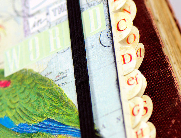 Bird Address Book Project by Audrey Hernandez