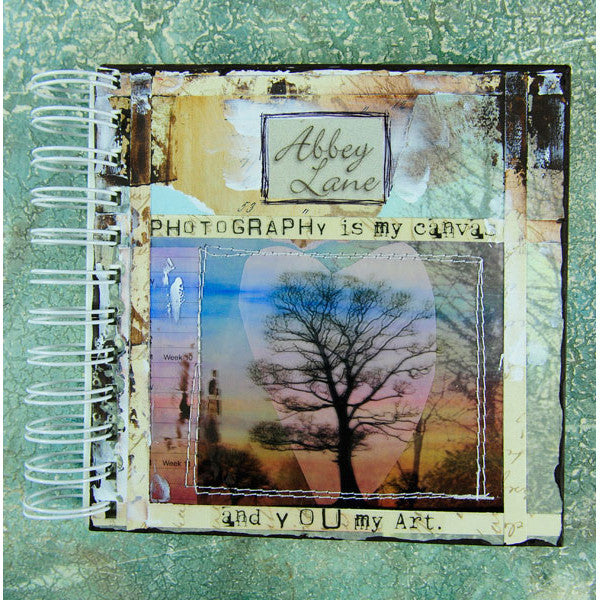 Abbey Lane book: Project by Audrey Hernandez