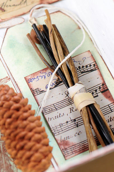 Nature Artifacts Project