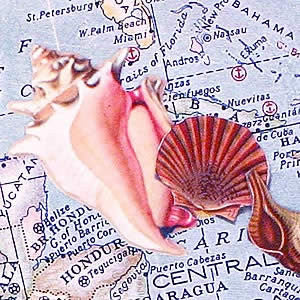 Travel Book Project by Debbie Metti