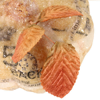 Magical Pumpkin Project by Diane Michioka