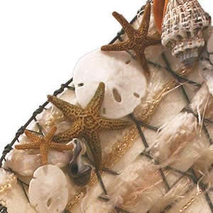 Shell Collection Project by Mona Gettmann