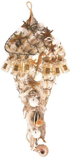 Shell Collection Project by Mona Gettmann