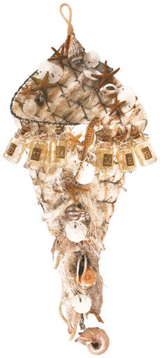Shell Collection Project by Mona Gettmann