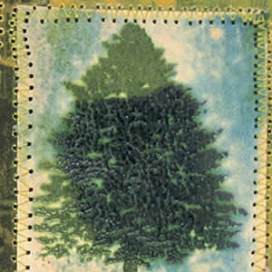 Evergreen Project by Christine Adolph