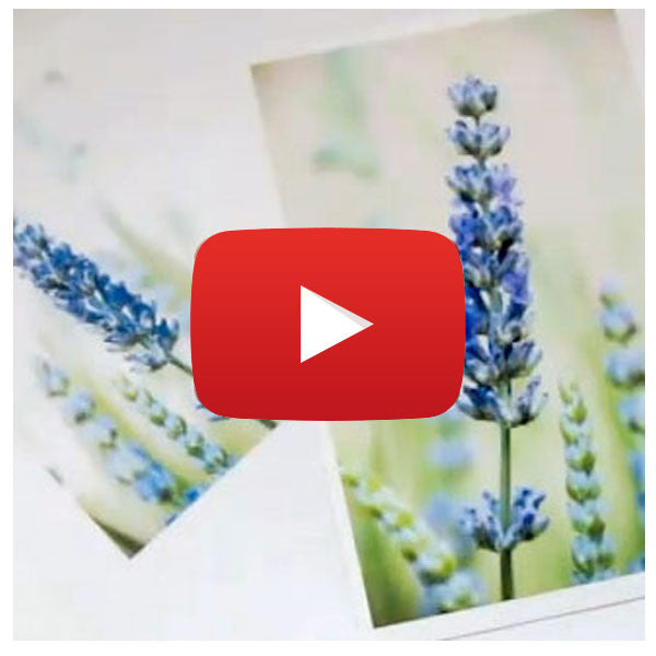 Citra Solv Photo Transfer Video By Dianne Sapra